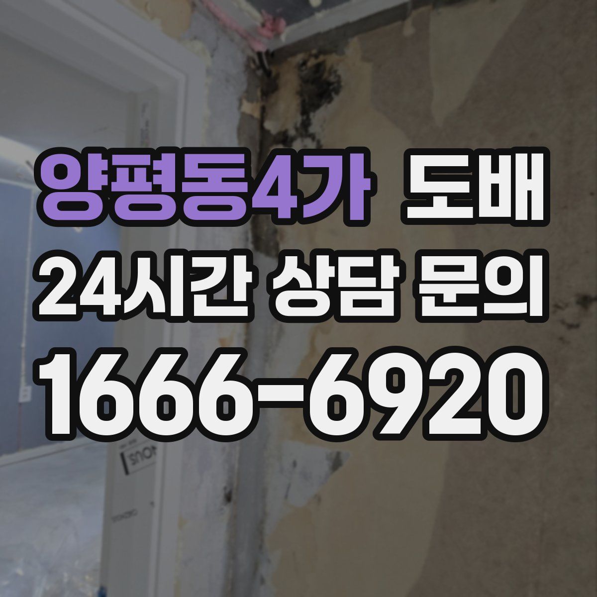 양평동4가 도배