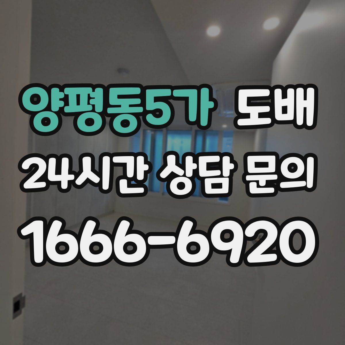 양평동5가 도배