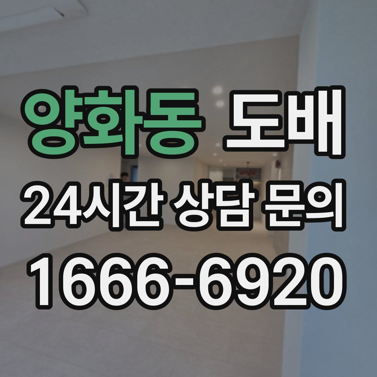 양화동 도배