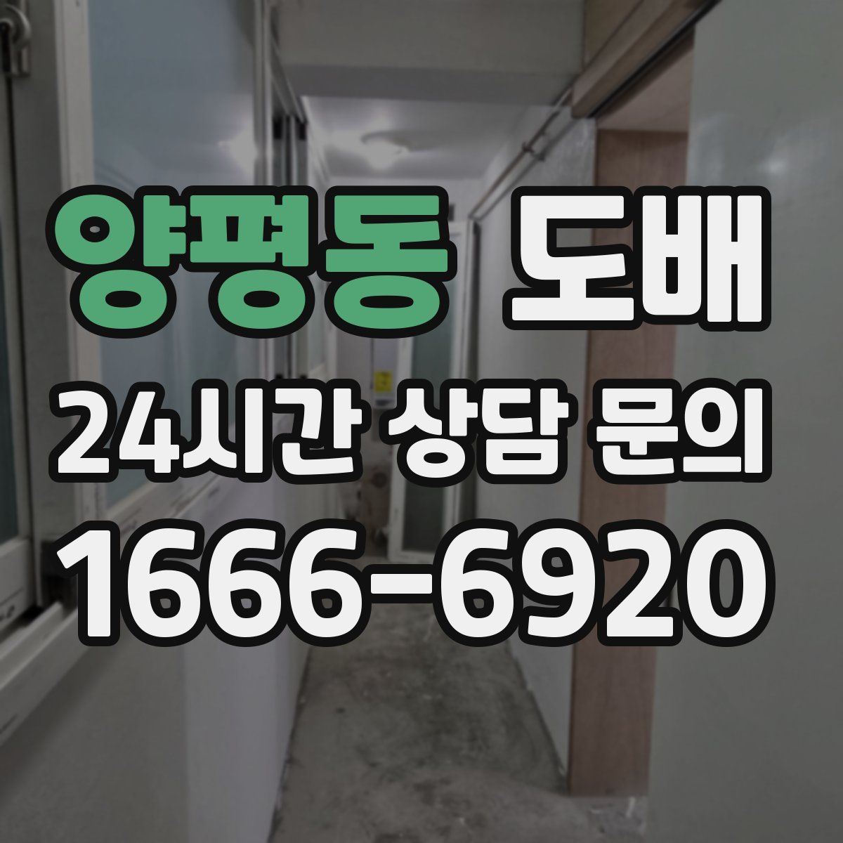 양평동 도배
