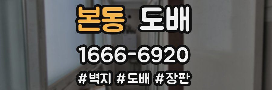 본동 도배