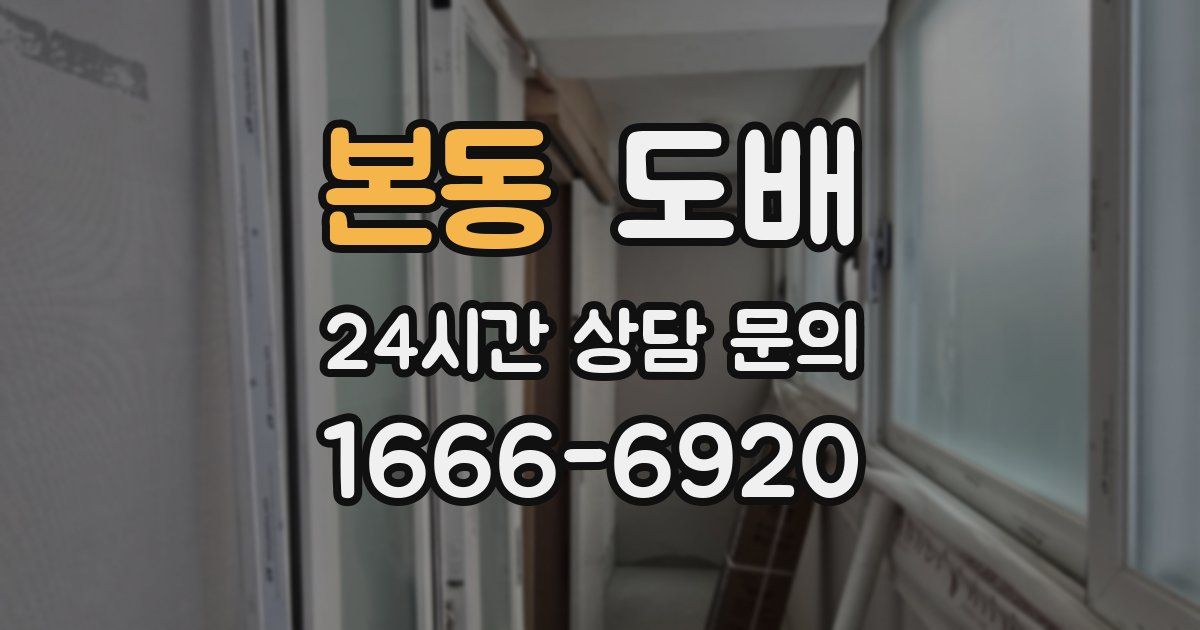 본동 도배