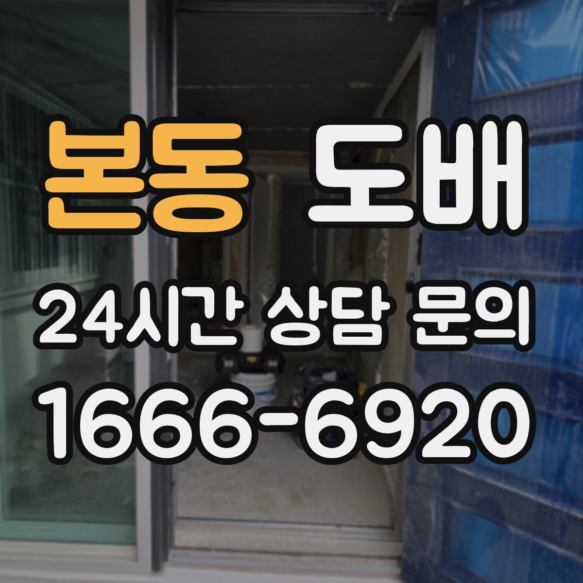 본동 도배