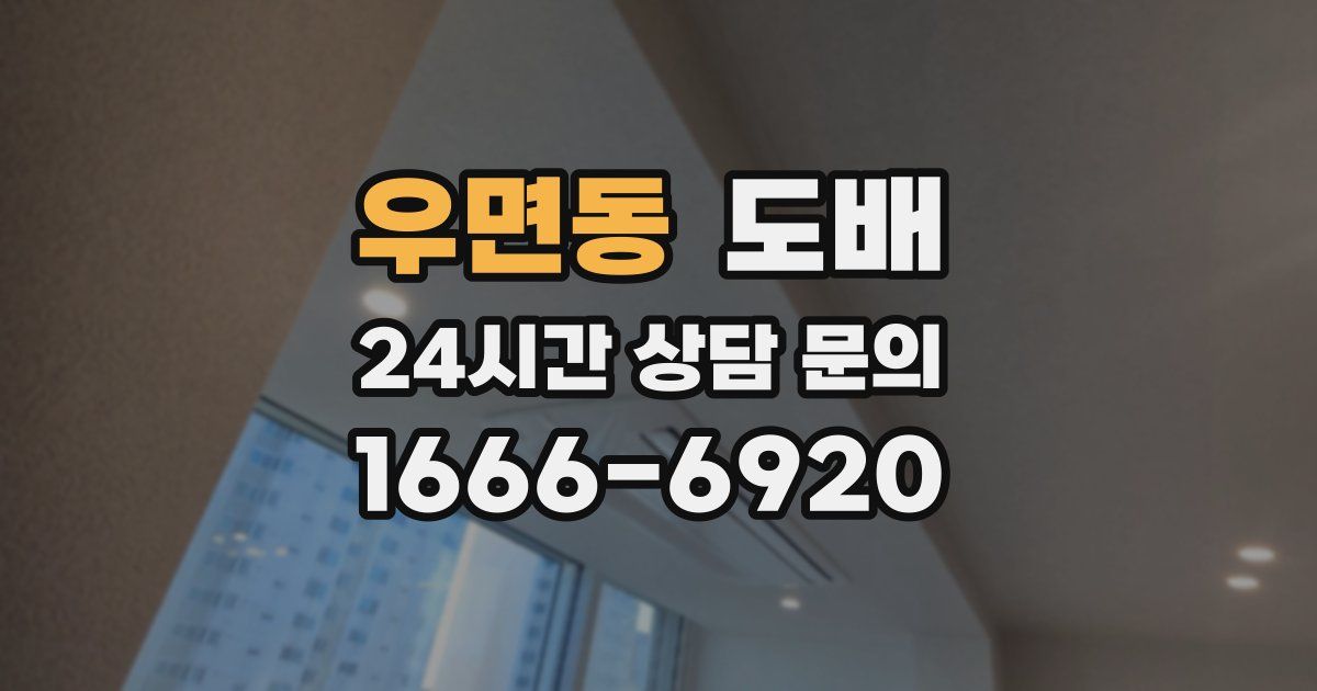 우면동 도배