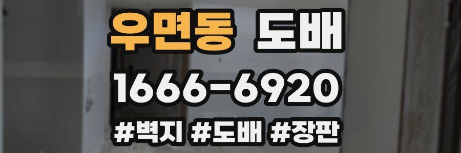 우면동 도배