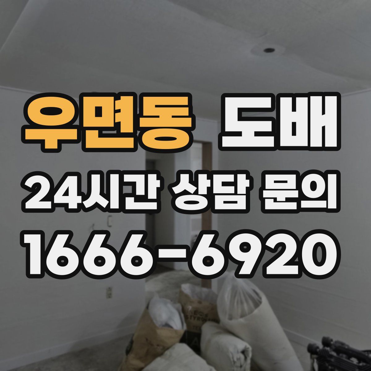 우면동 도배