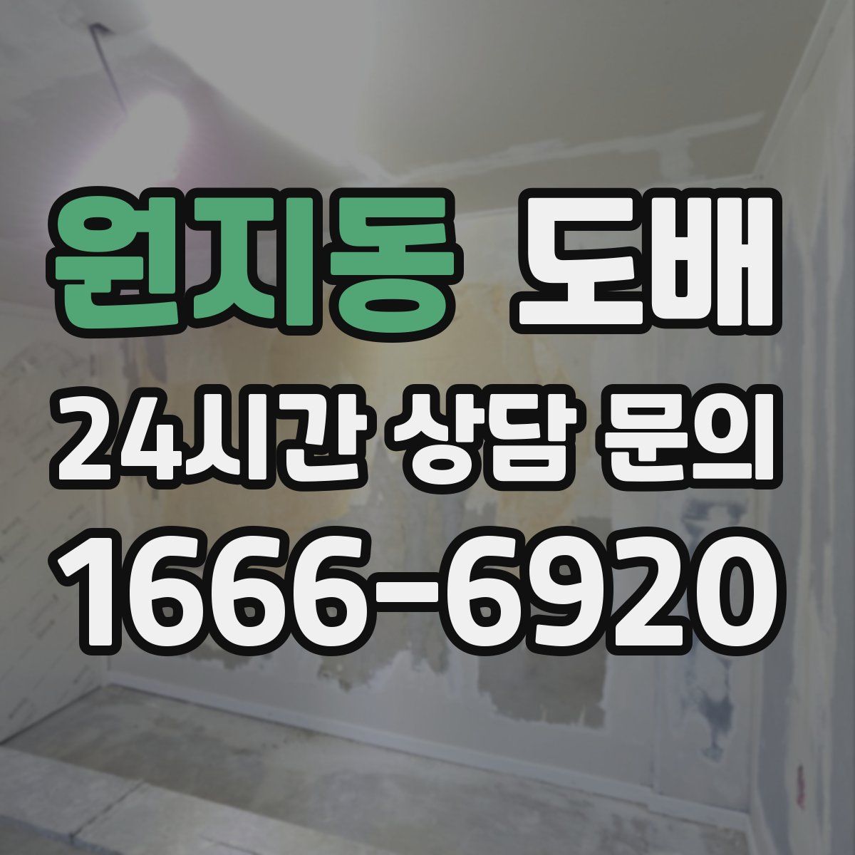 원지동 도배