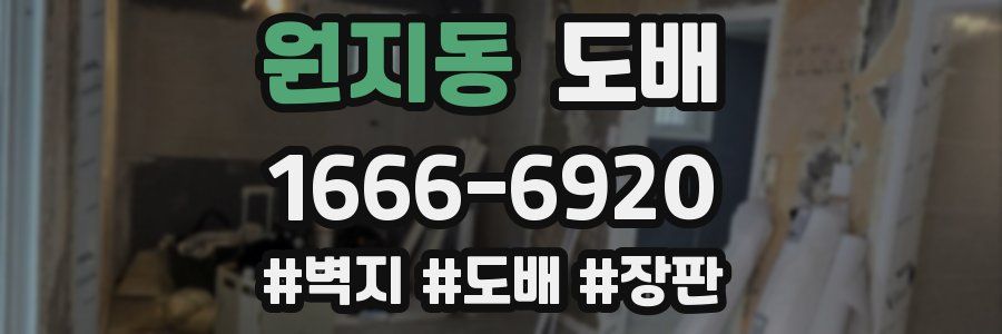 원지동 도배