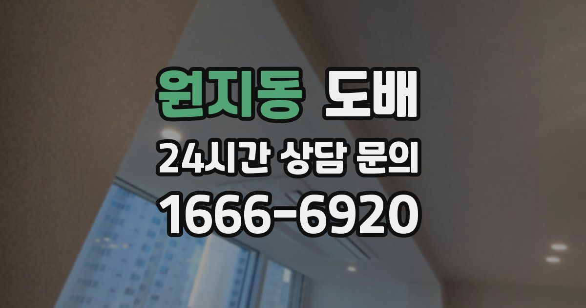 원지동 도배