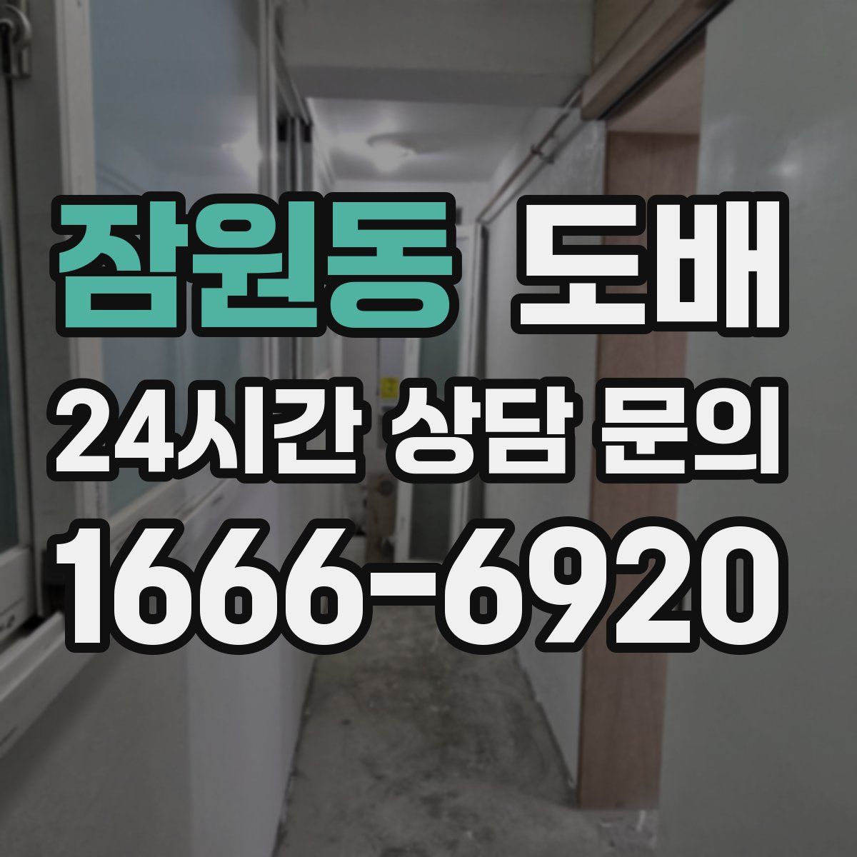 잠원동 도배