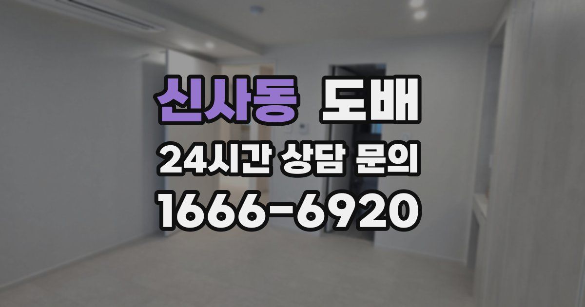 신사동 도배