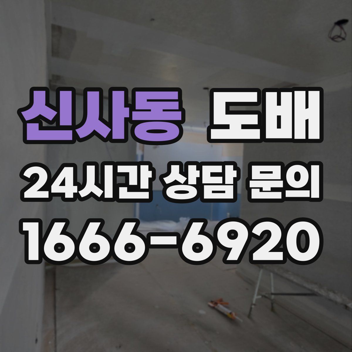 신사동 도배