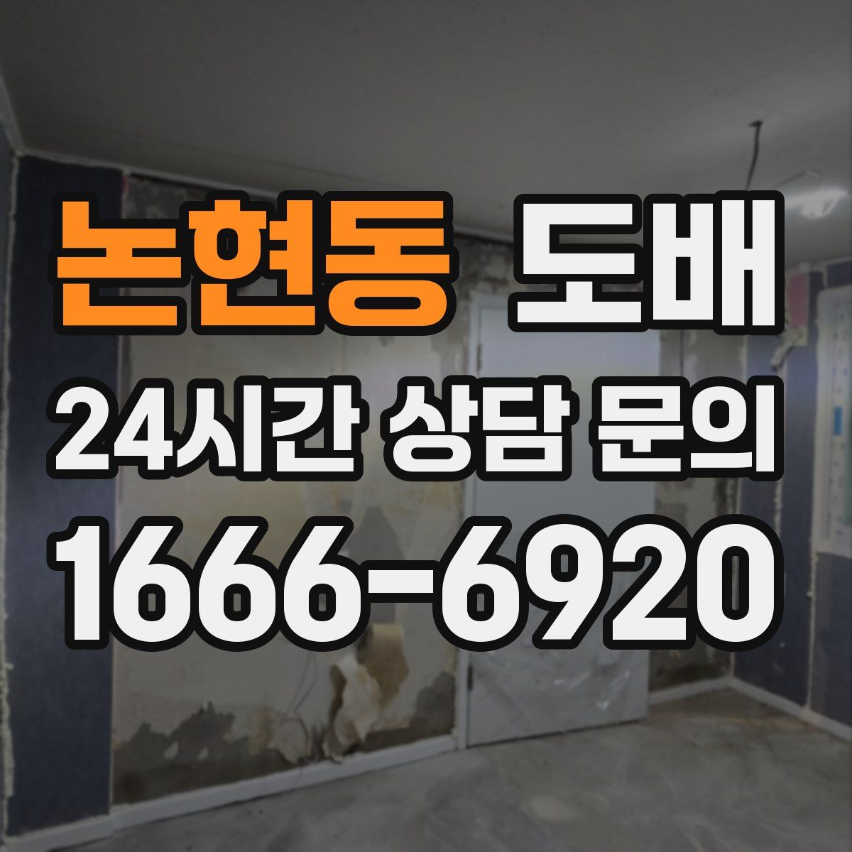 논현동 도배