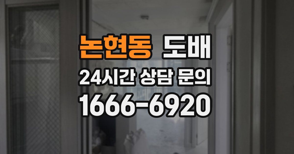 논현동 도배