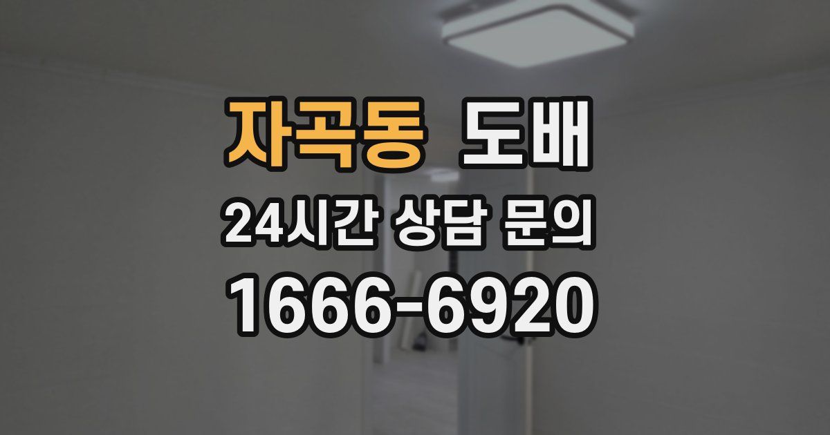 자곡동 도배