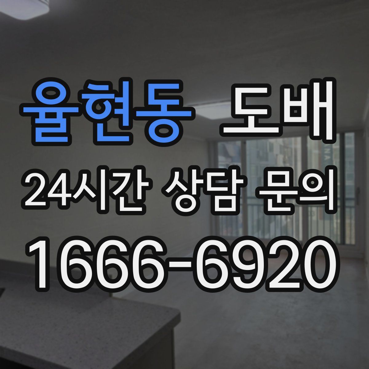 율현동 도배