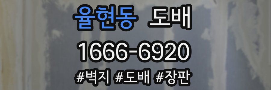 율현동 도배