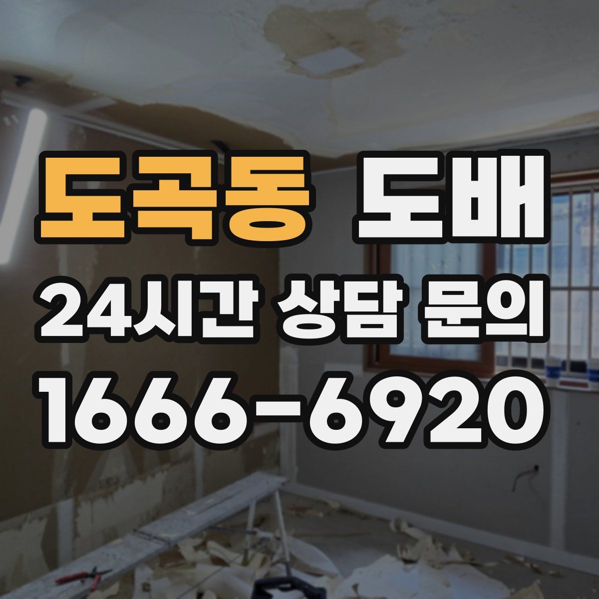 도곡동 도배