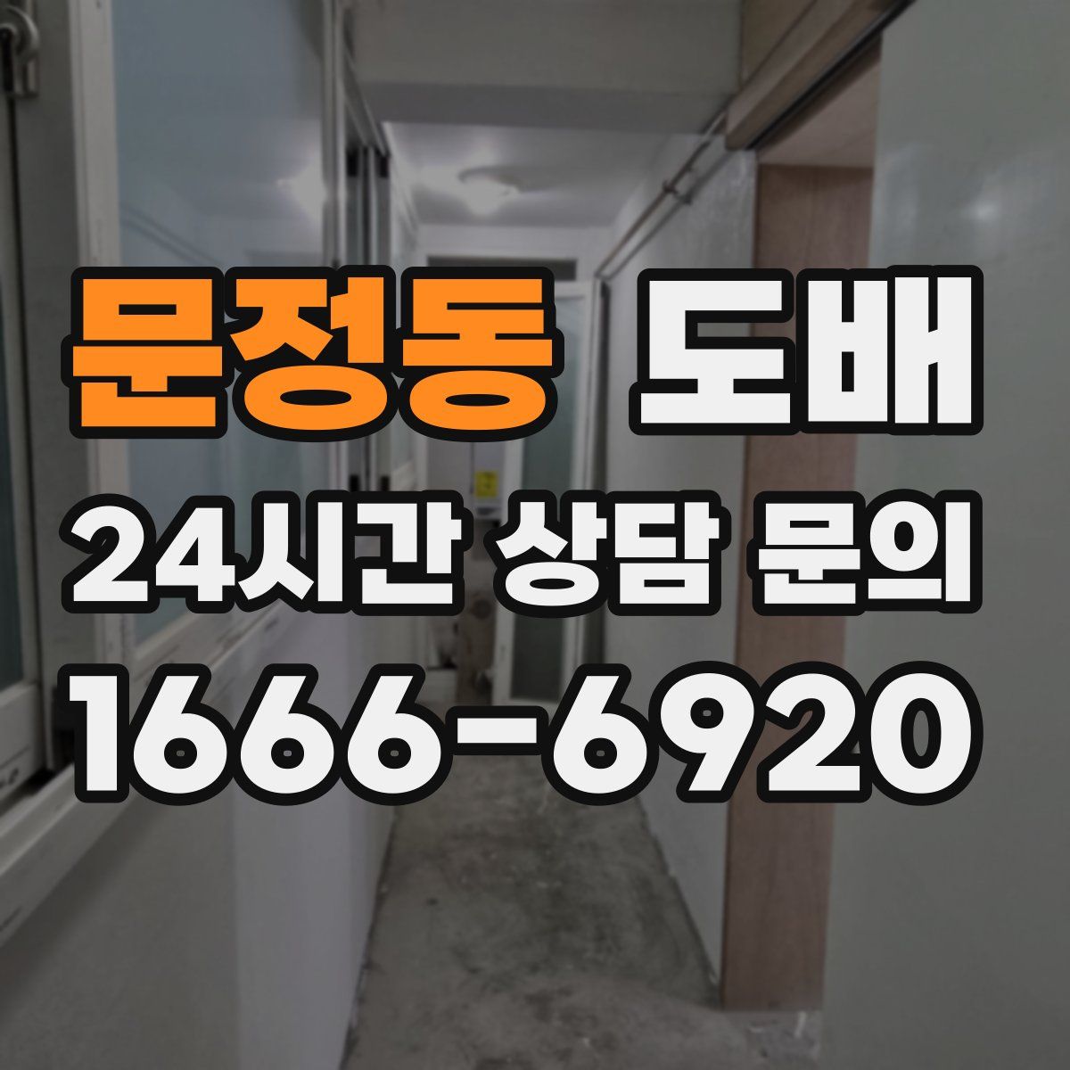 문정동 도배