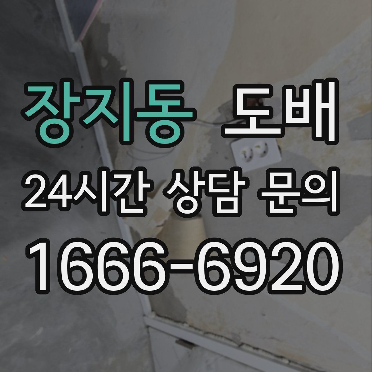 장지동 도배