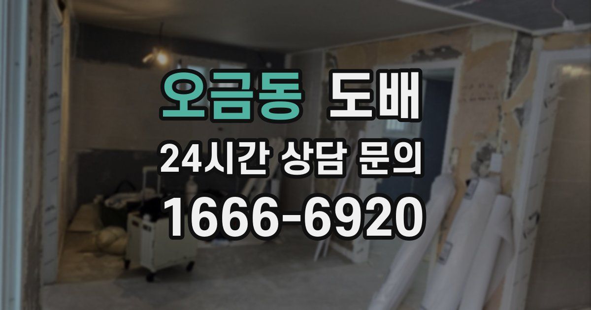 오금동 도배