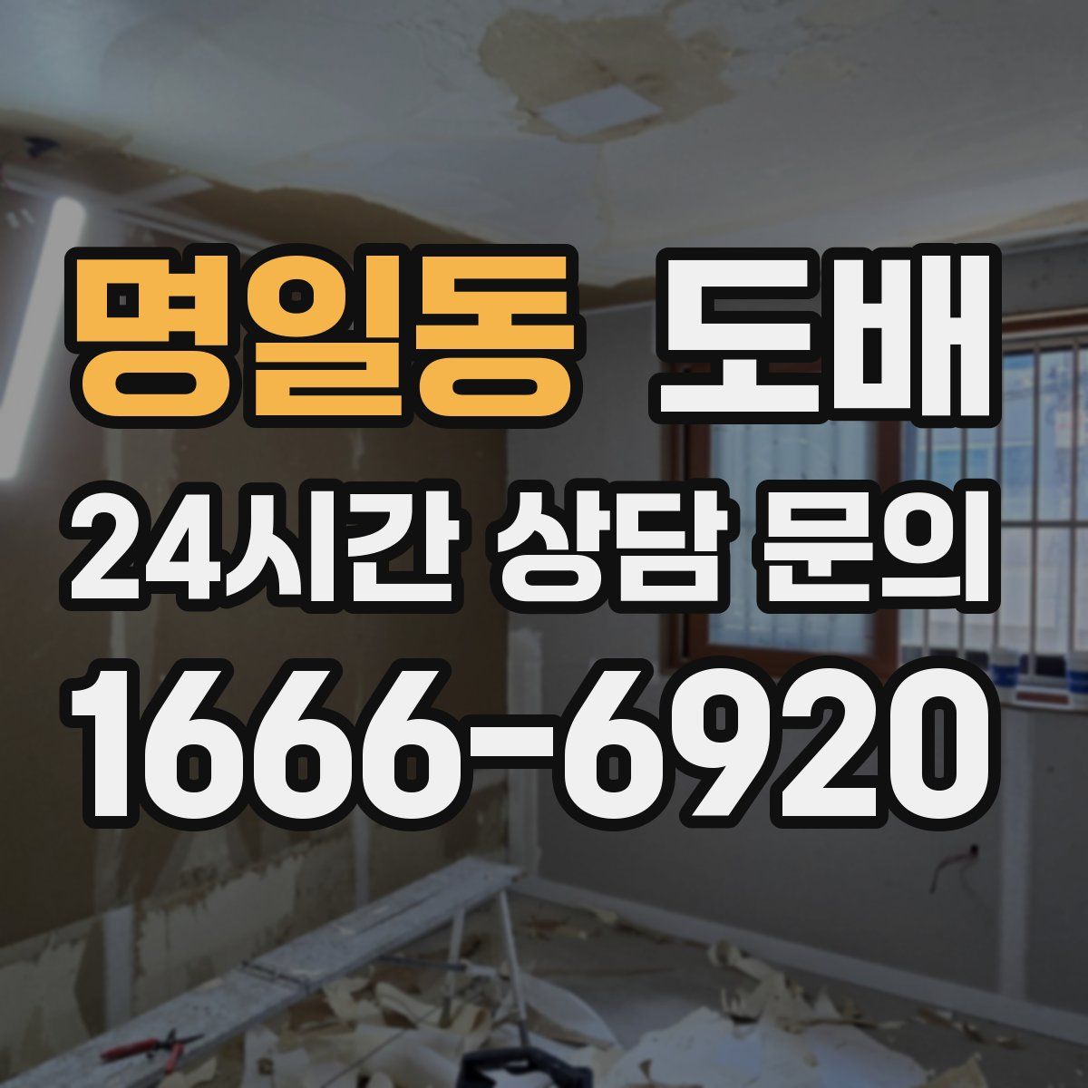 명일동 도배