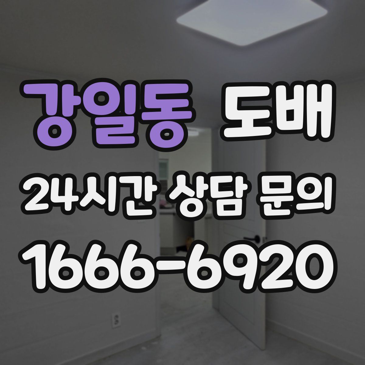 강일동 도배