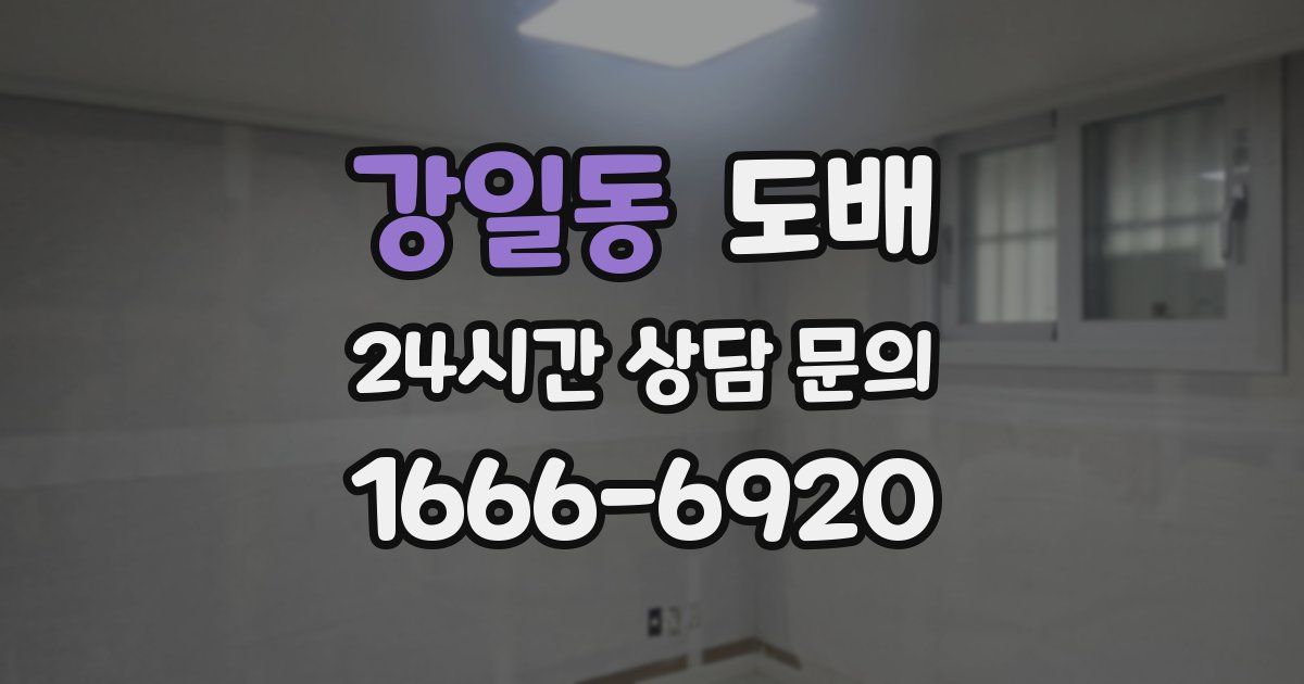 강일동 도배