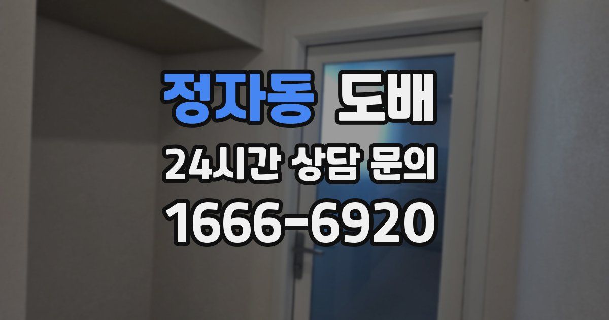 정자동 도배