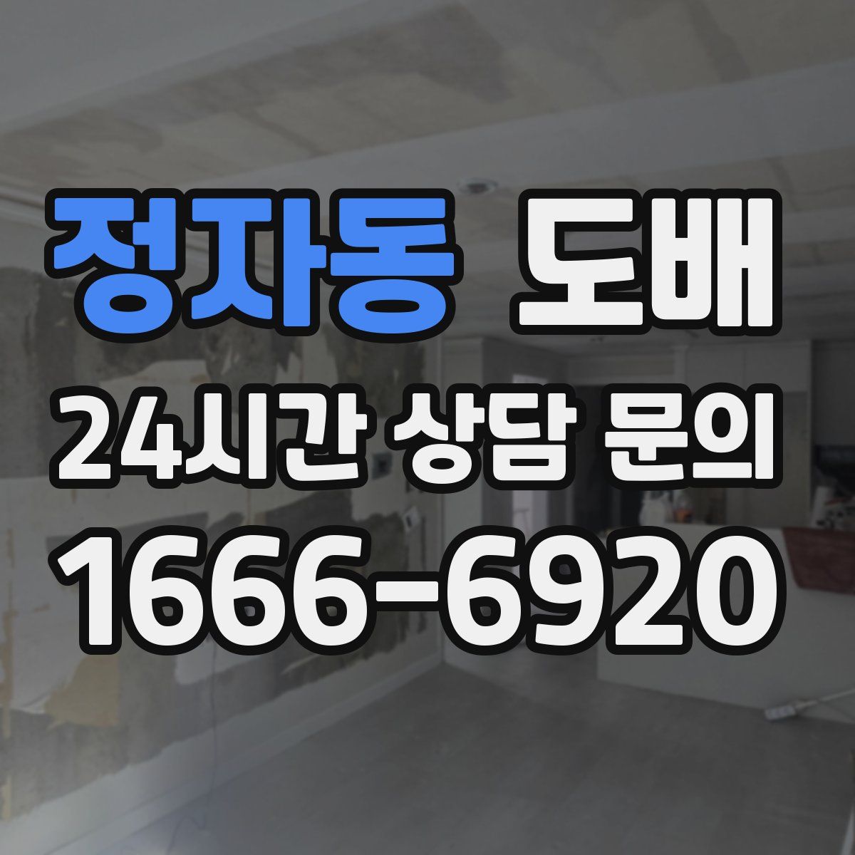 정자동 도배