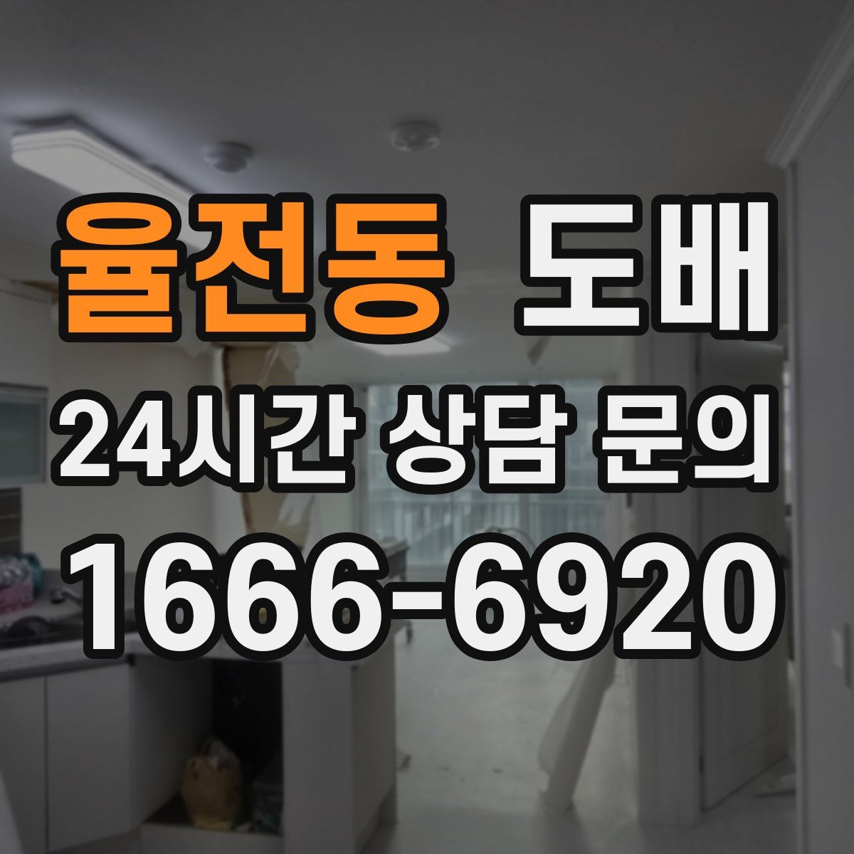 율전동 도배
