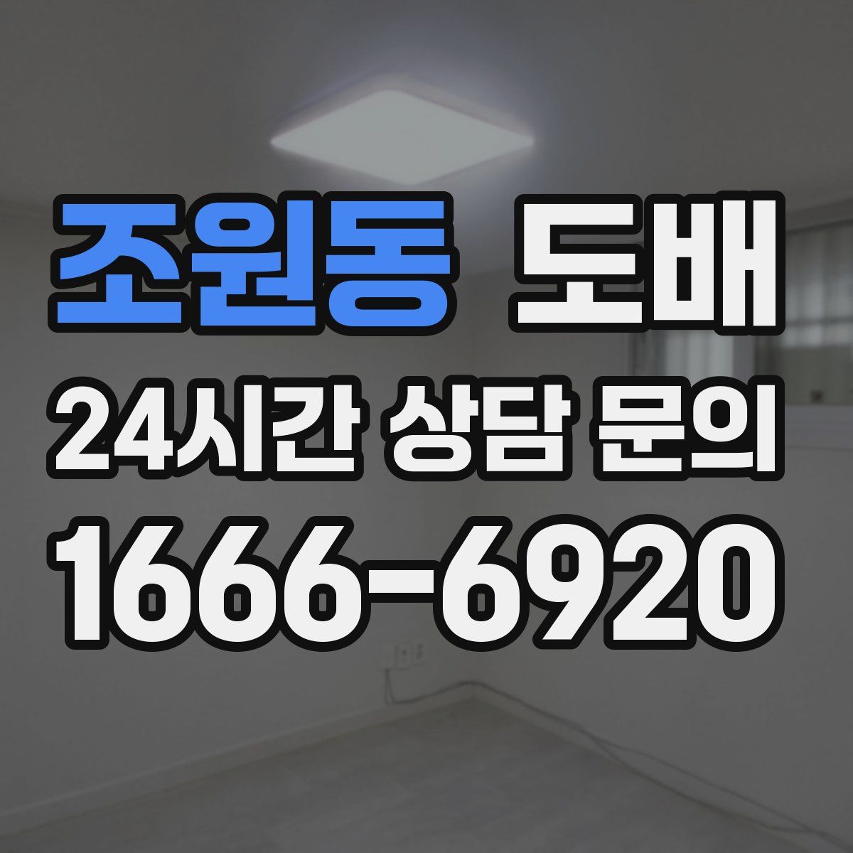 조원동 도배