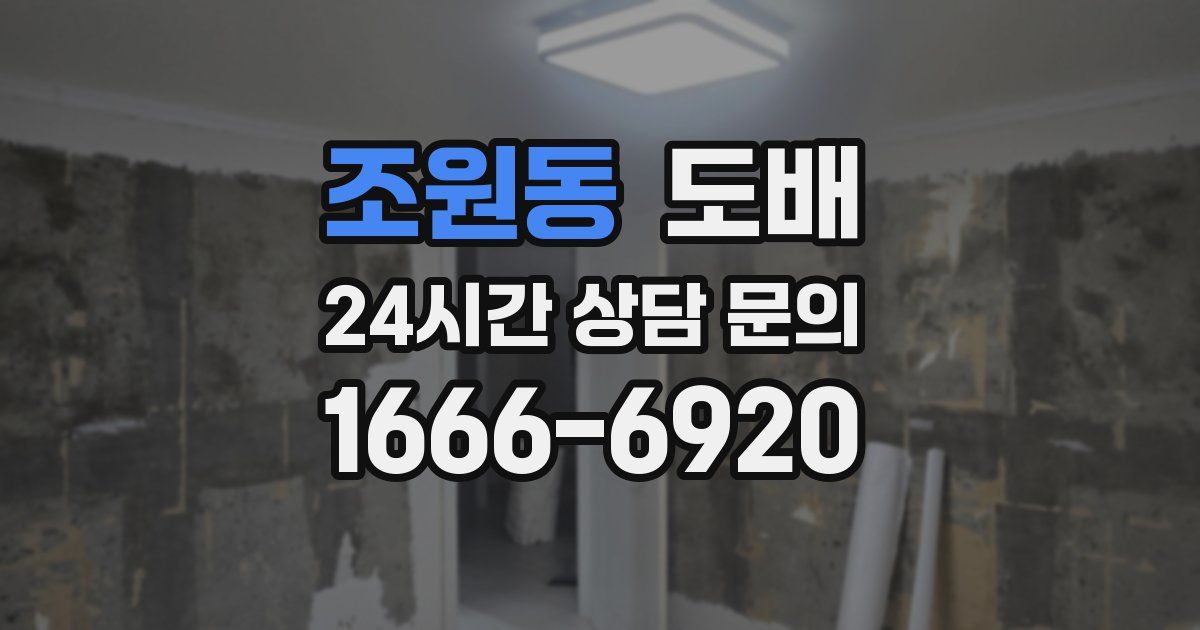 조원동 도배