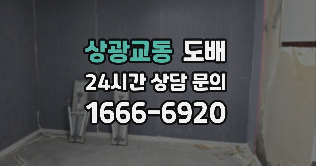 상광교동 도배