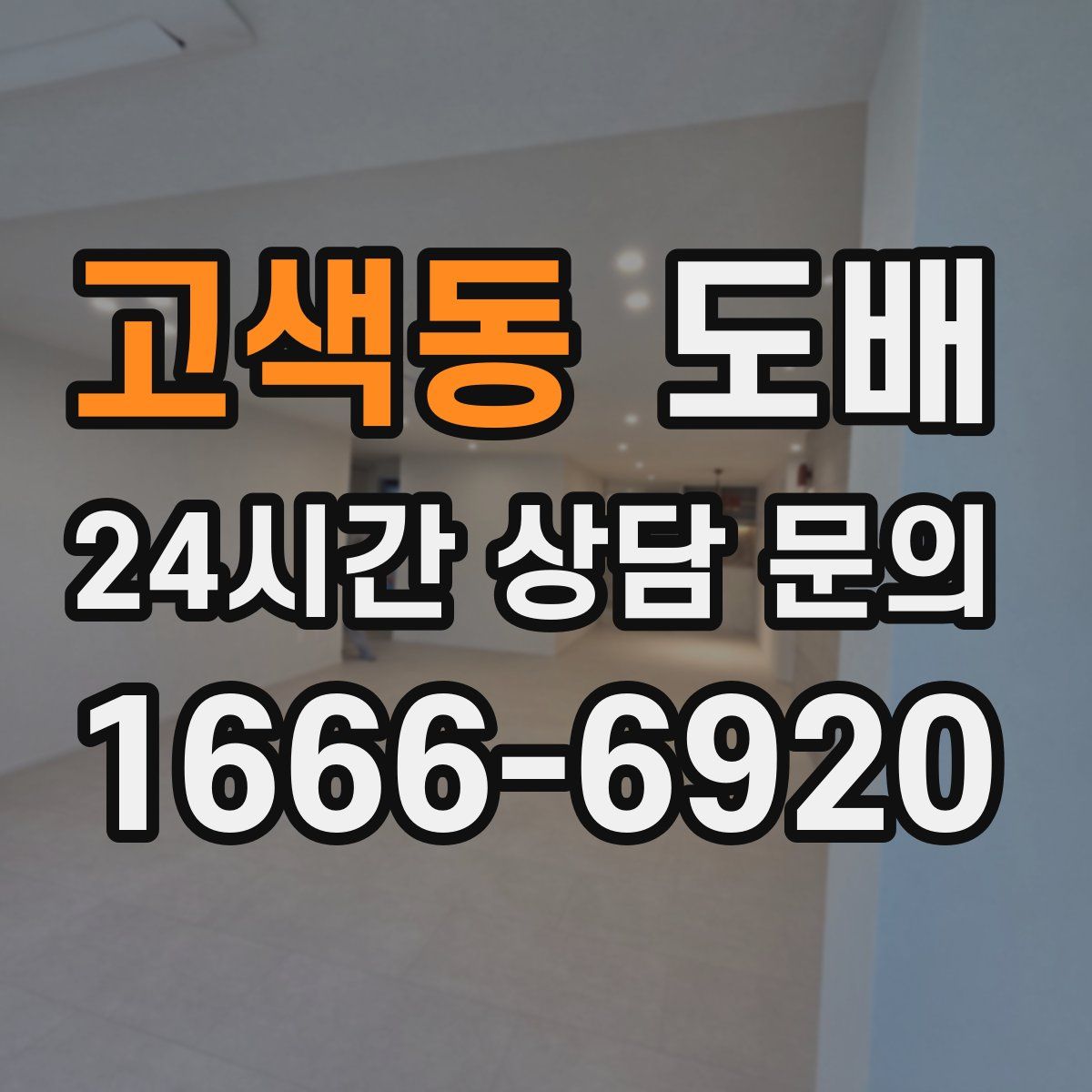 고색동 도배