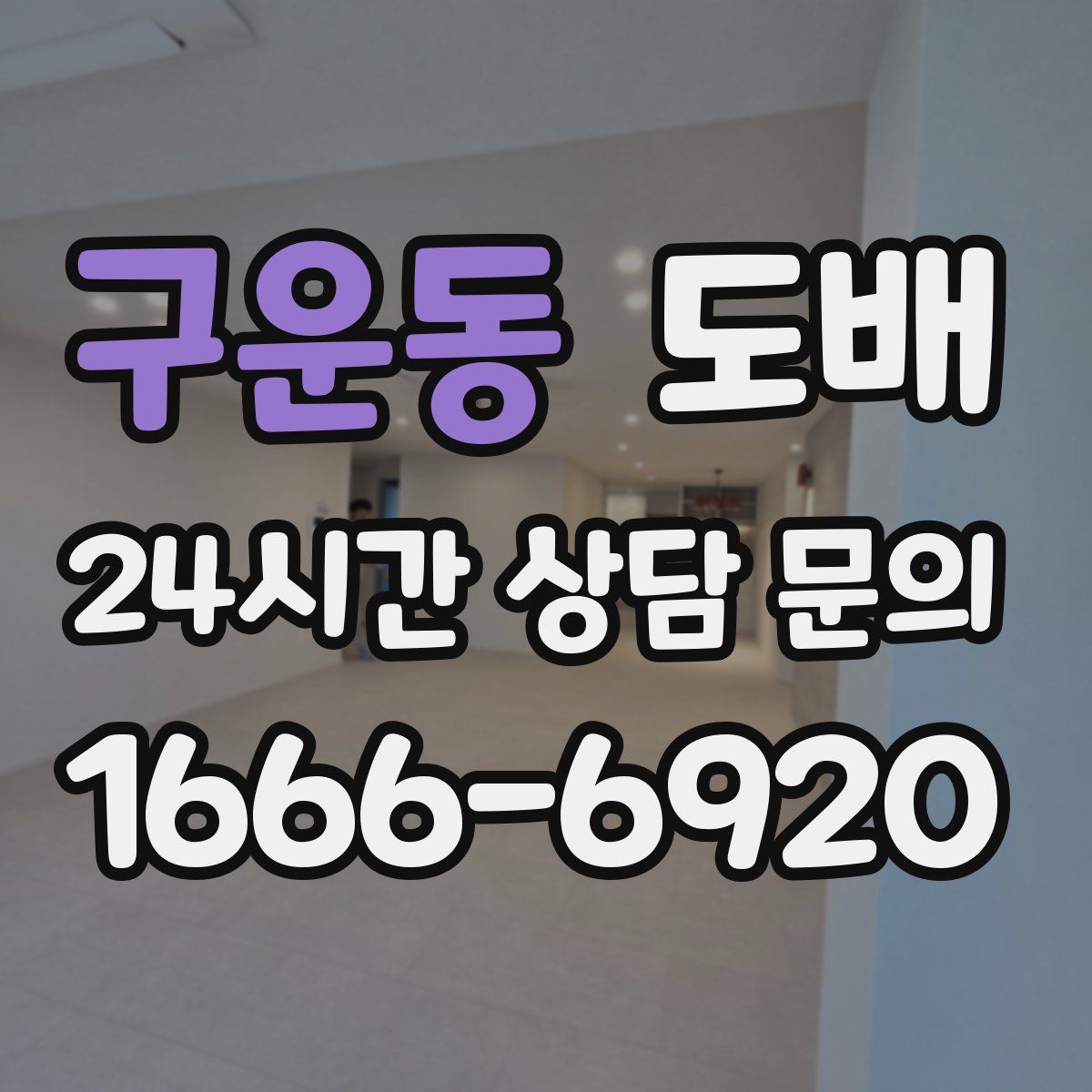 구운동 도배