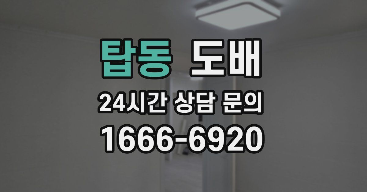 탑동 도배