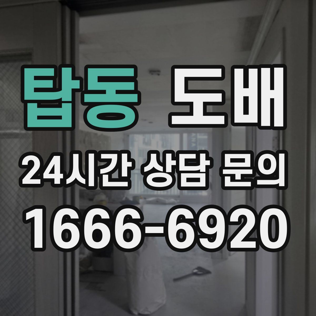 탑동 도배