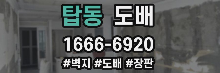 탑동 도배
