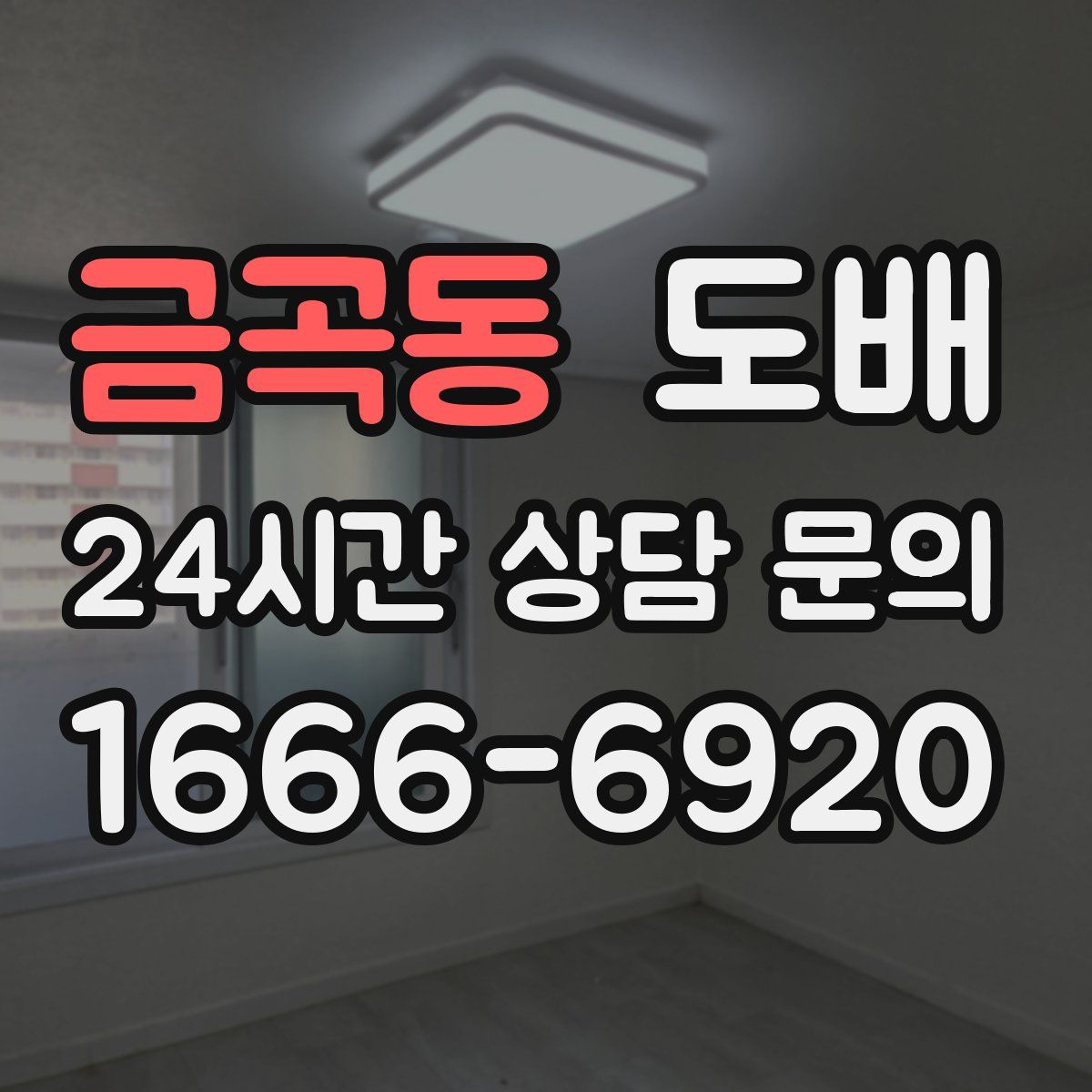 금곡동 도배