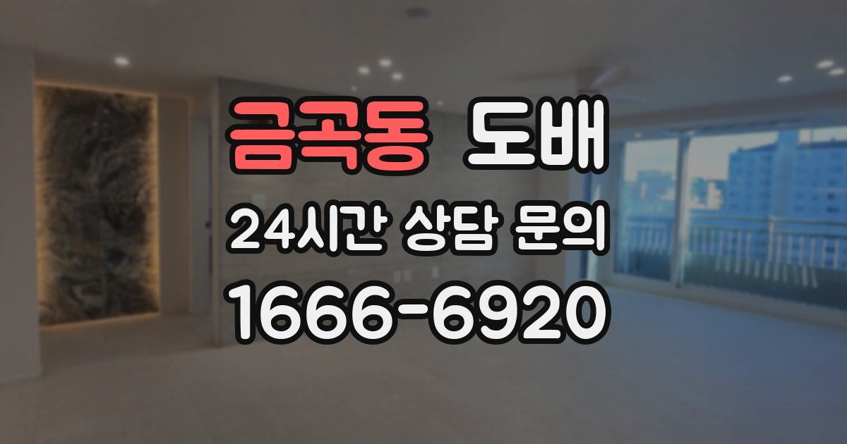 금곡동 도배