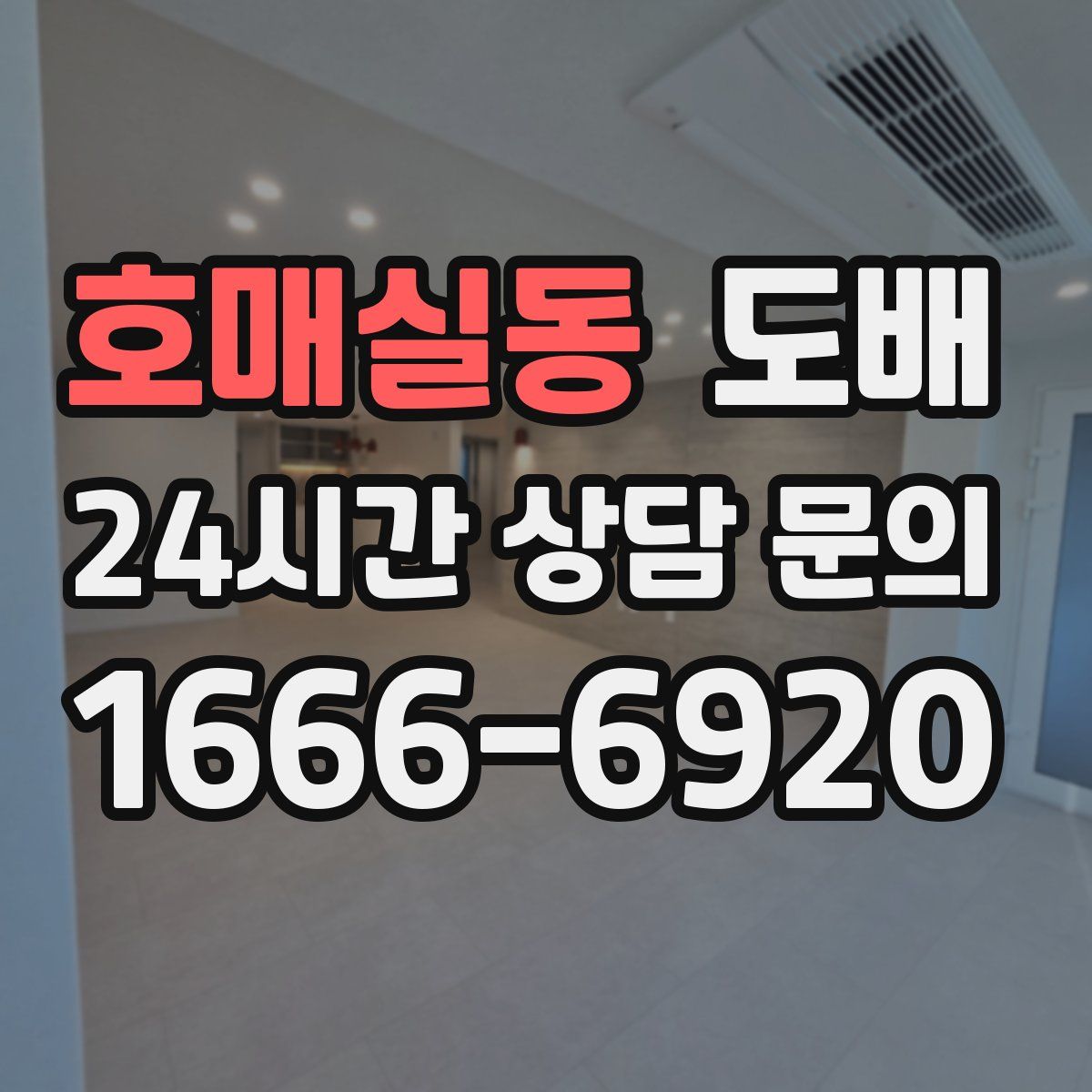 호매실동 도배