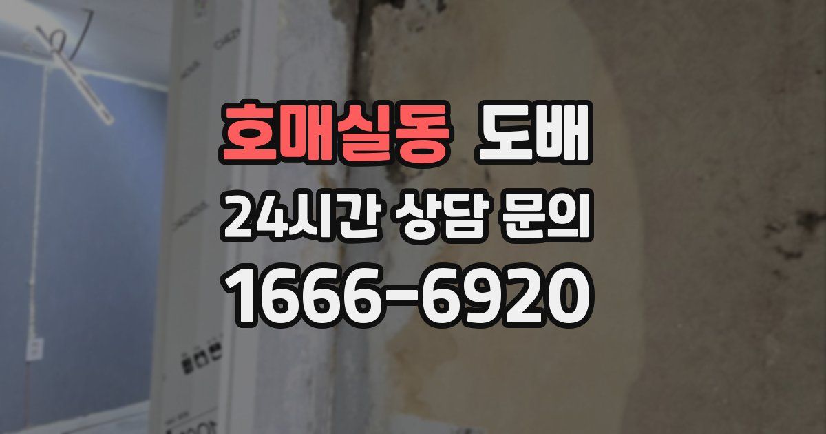 호매실동 도배