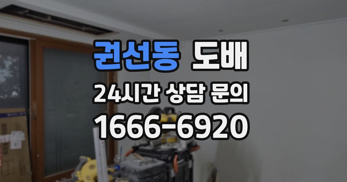 권선동 도배