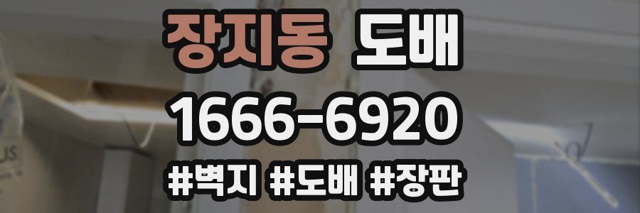 장지동 도배