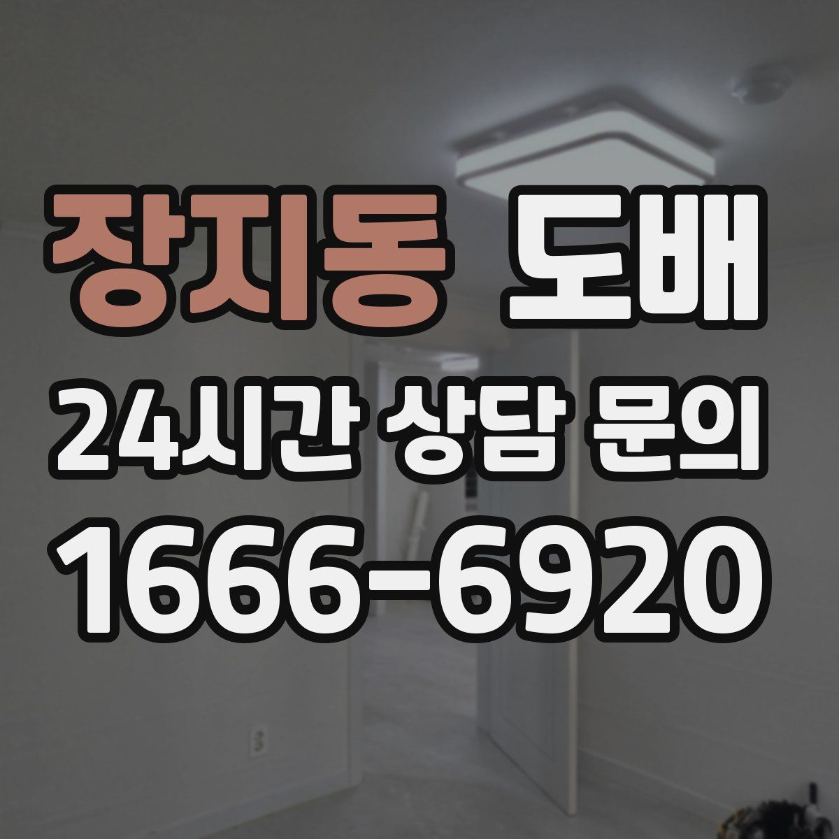 장지동 도배