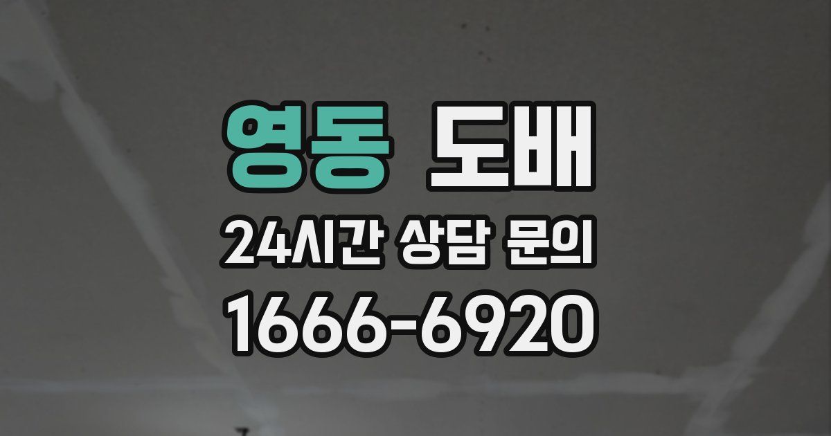 영동 도배