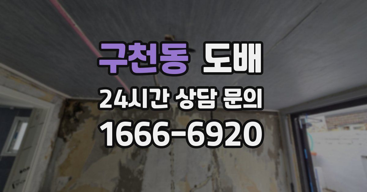 구천동 도배