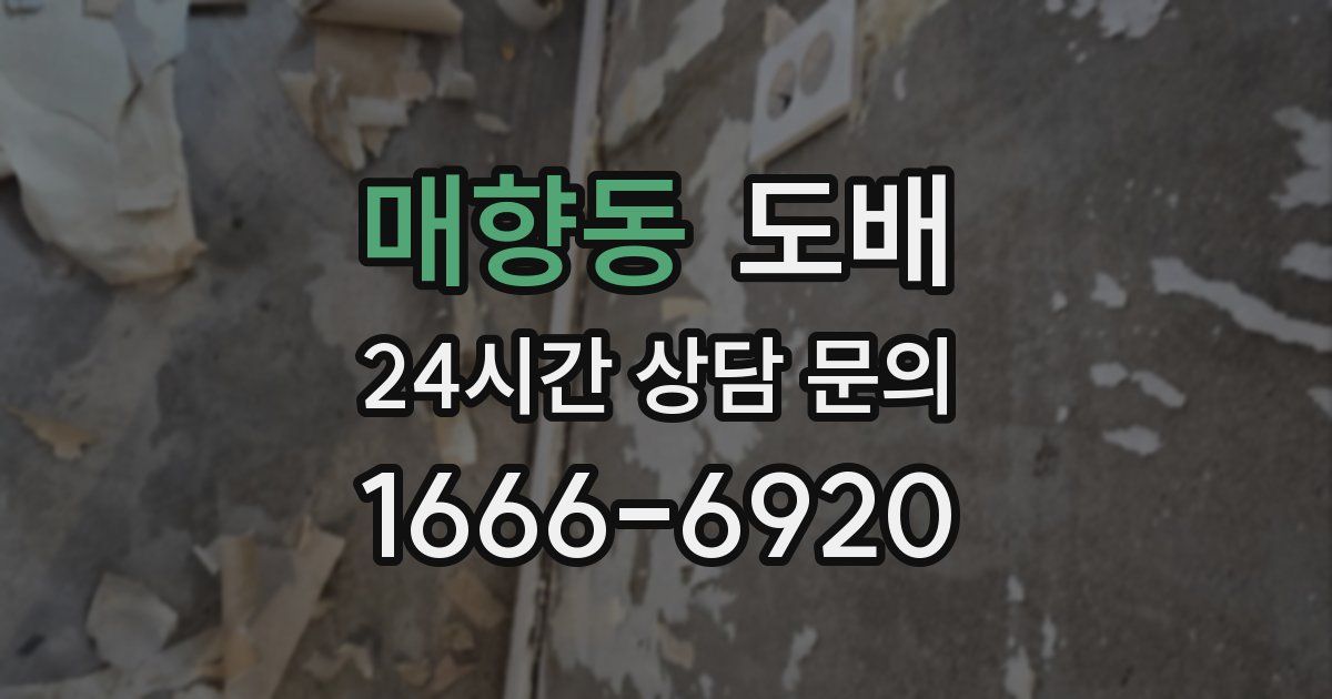 매향동 도배