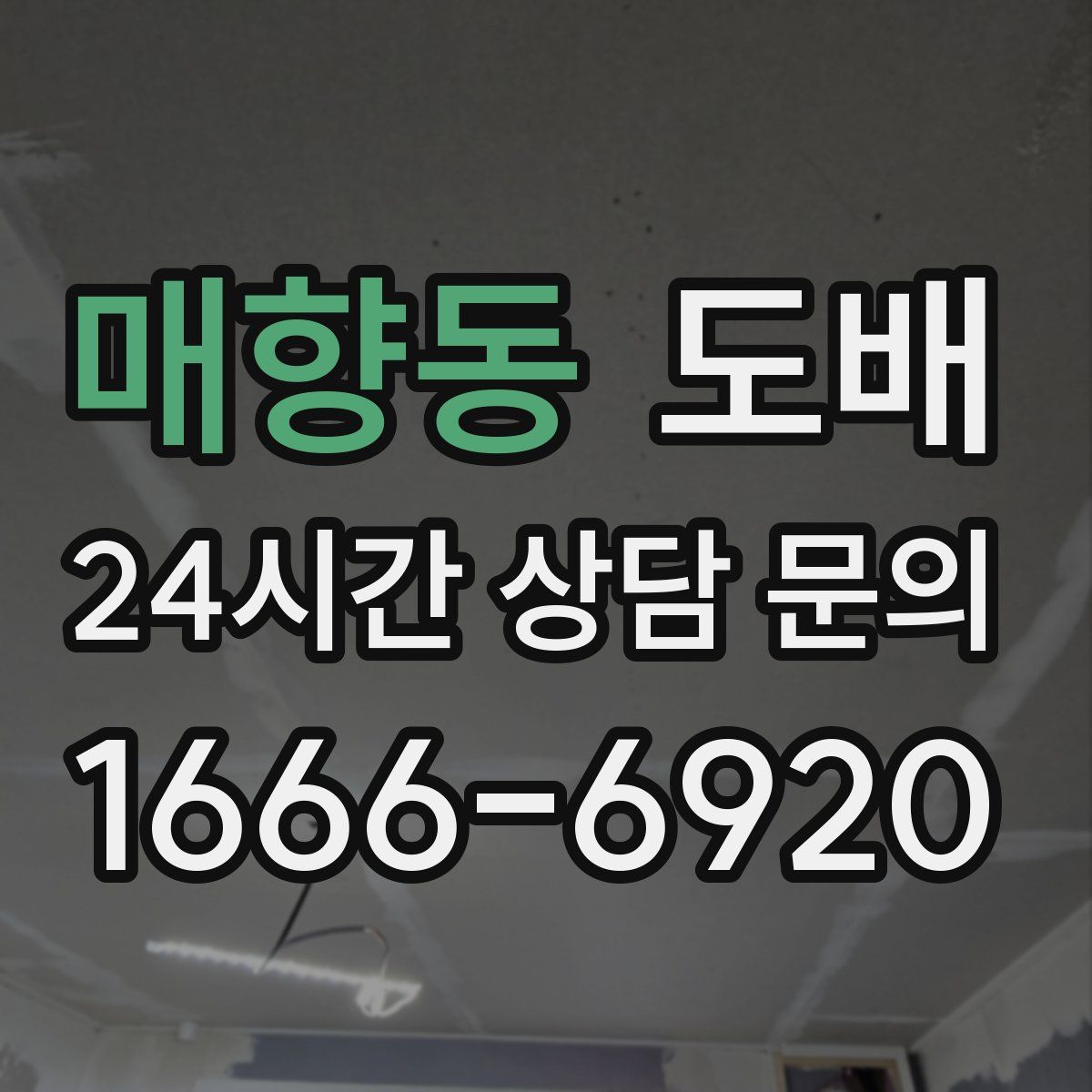 매향동 도배